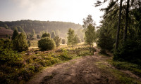 Der Wanderweg rund um den Totengrund