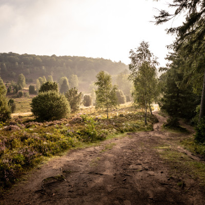 Der Wanderweg rund um den Totengrund