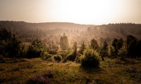 Blick ins Tal am Totengrund