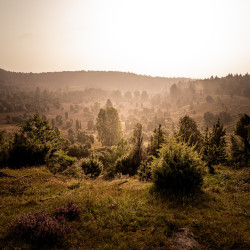 Blick ins Tal am Totengrund