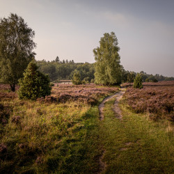 Morgen am Totengrund Morgen am Totengrund