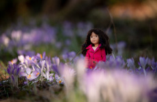 arietty