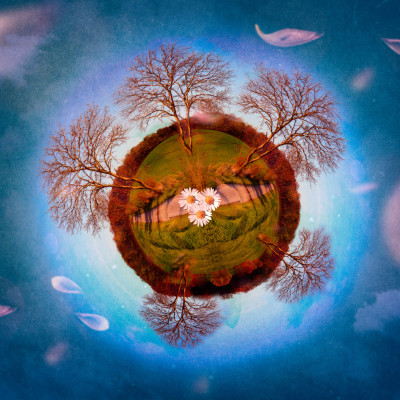 miniplanet westerberg miniplanet westerberg