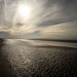 Sandbank vor Spiekeroog