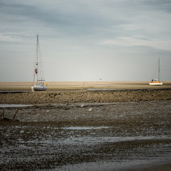 Segeln in der Nordsee: Trockengefallene Boote