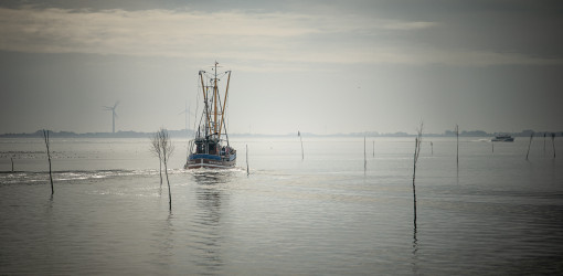 Fischkutter zwischen Neuharlingersiel und Spiekeroog