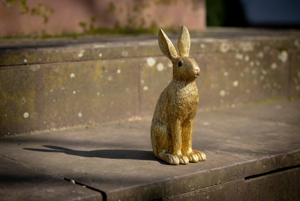 Hase am Wilhelmsplatz in Göttingen