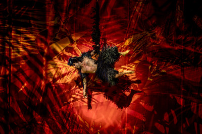 Stage Entertainment: Tarzan