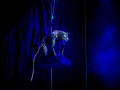 musical tarzan stage entertainment stuttgart