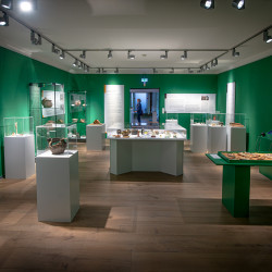 Ausstellungraum. Unter uns: Archäologie in Göttingen