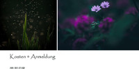 Workshop Kreative Naturfotografie in Göttingen